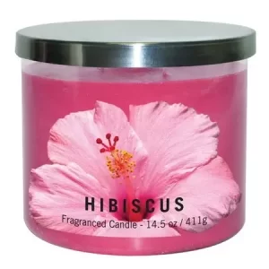 Hawaiian Pink Hibiscus